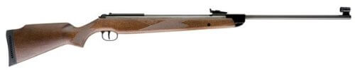 RWS型号50 Magnum .22口径气步枪