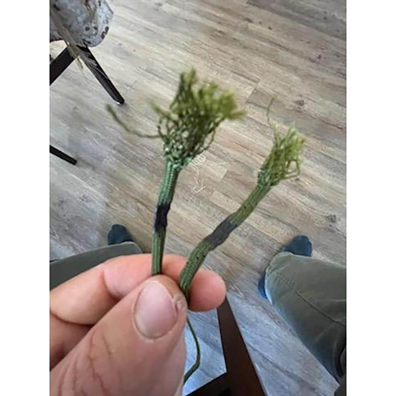 磨损和准备550线